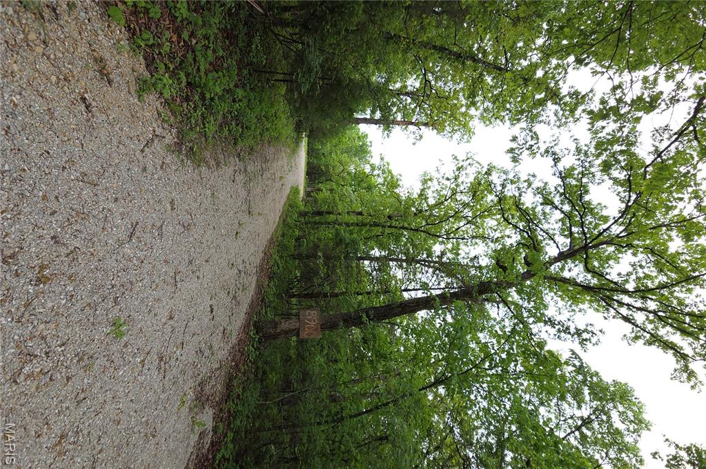 Running Deer - Land