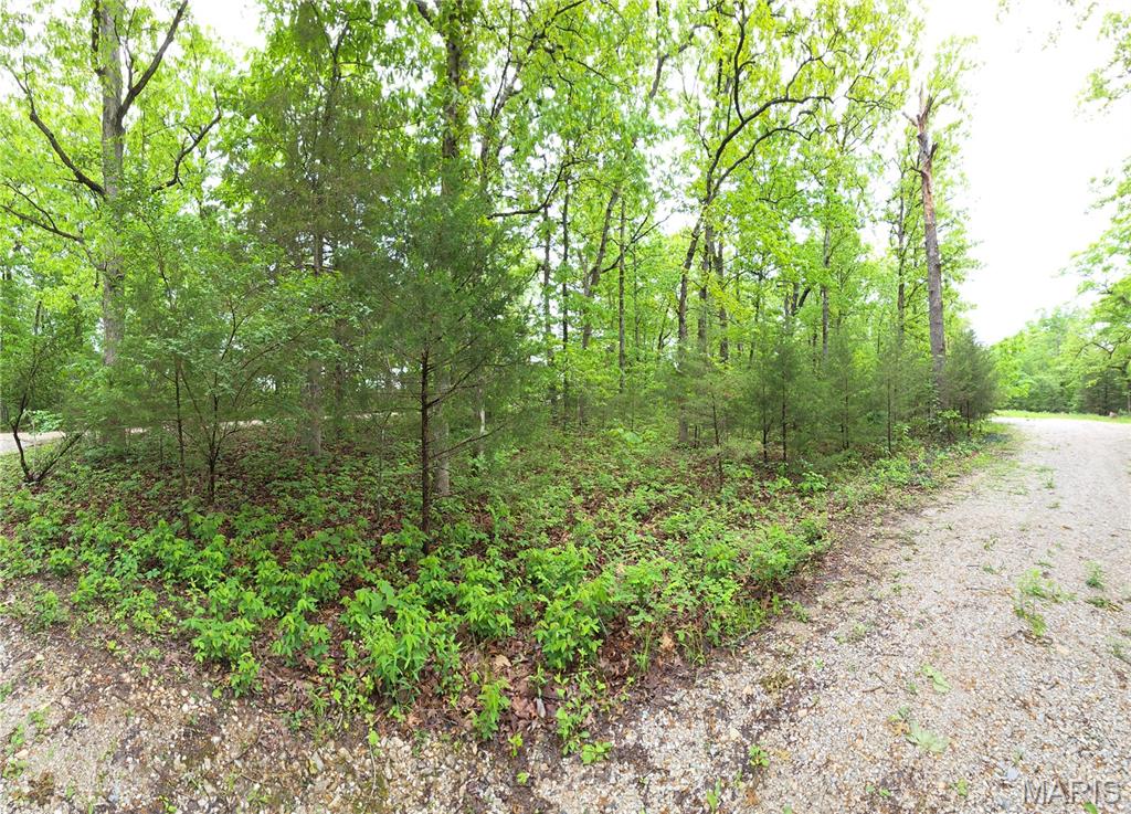 Running Deer - Land