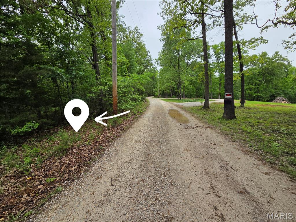 Running Deer - Land