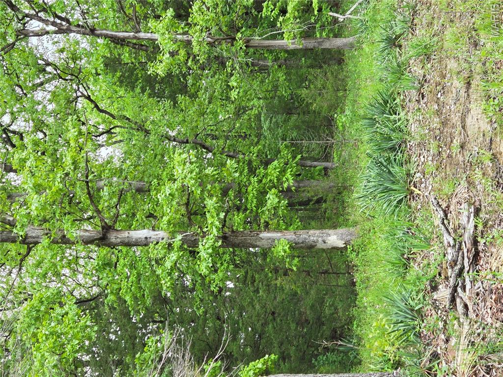 Running Deer - Land