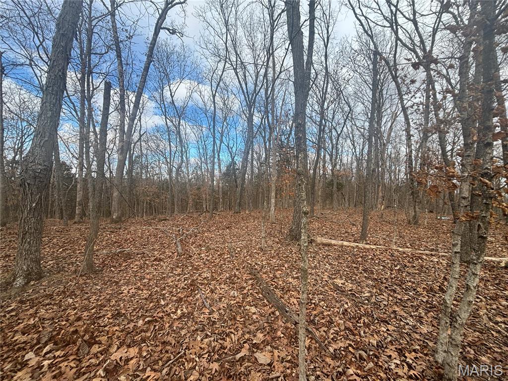 Dunnmore Woods - Land