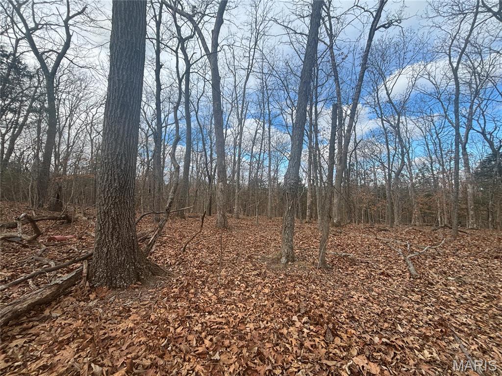 Dunnmore Woods - Land