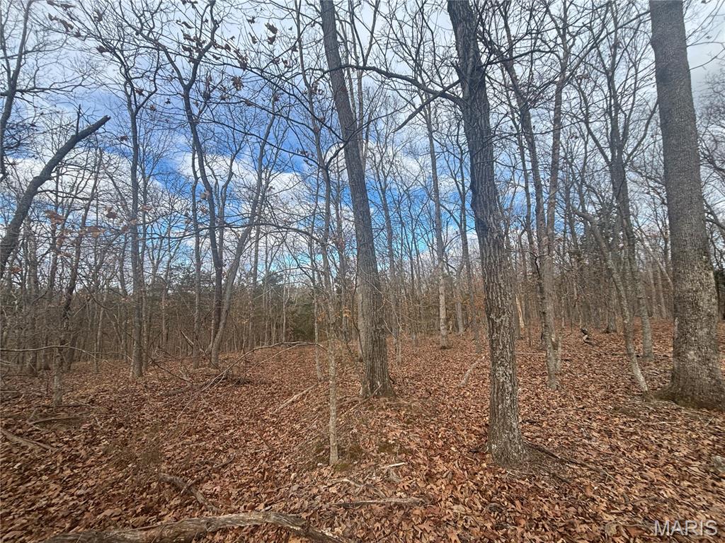 Dunnmore Woods - Land