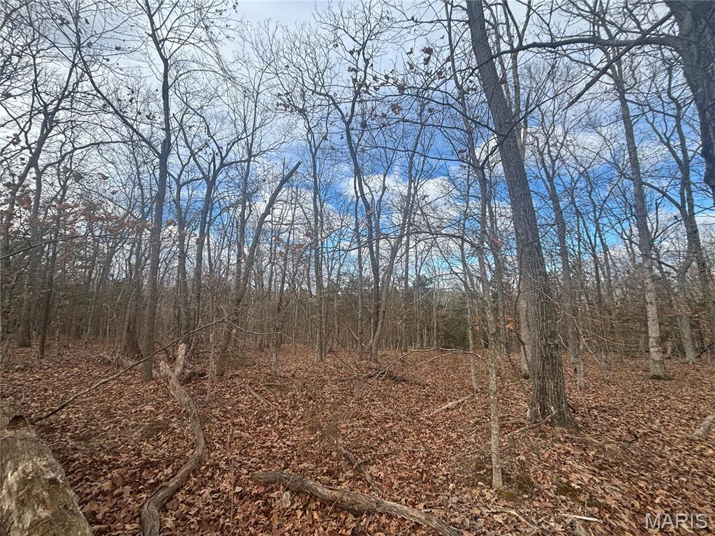 Dunnmore Woods - Land