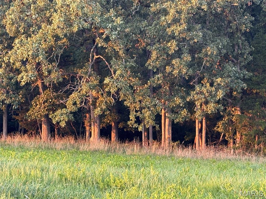 NEW HAVEN - Farm