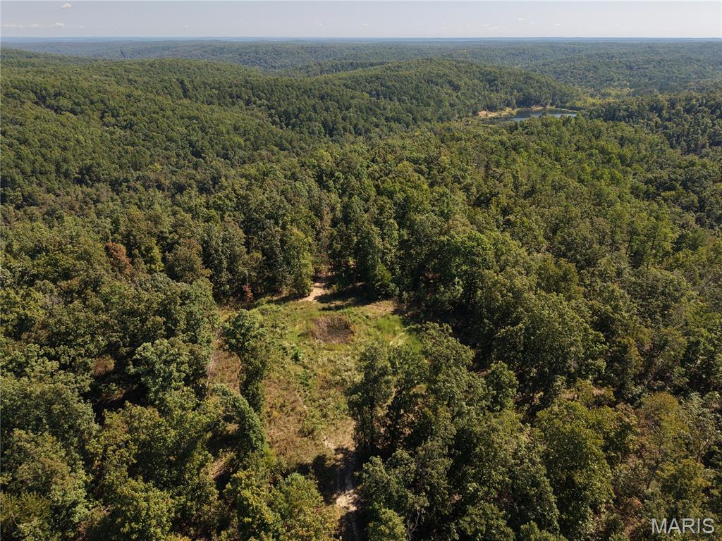 Discover a unique opportunity to own recreational, hunting, homestead, or off-grid land in southern Ste. Genevieve County, Missouri. This 241+/- acre property has been subdivided into 32 separate wooded lots ranging from 3+/- to 13+/- acres in size, offering buyers the flexibility to purchase an individual lot or bundle multiple lots together to create a parcel that fits their needs.
Located southeast of Farmington, northeast of Fredericktown, and west of Perryville Missouri. The property is accessible from Coldwater Creek Rd. and can also be reached from Bidwell Creek Rd. Surrounded by the Mark Twain National Forest, this property offers a private and secluded setting with thousands of acres of surrounding natural beauty and outdoor recreation nearby.
The land is completely wooded and unrestricted, making it an excellent opportunity for hunting, camping, ATV and recreational use, building a private getaway, establishing a homestead, or creating an off-grid retreat. Utility easements are already in place along the road frontage, providing additional flexibility for future development. Electric is available along Coldwater Creek Rd.
Whether you're looking for a small recreational tract, a larger hunting property, a secluded homestead, or hundreds of acres to create your own private retreat, these lots can be combined to meet your needs.
Owner financing is available for interested buyers; making this an excellent opportunity to invest in unrestricted Missouri land and create the property you've been looking for.

Lot Highlights:
Lot 30, 32: Electric available along Coldwater Creek Rd.
Lot 1, 9, 14, 19, 20, 27, 26: Existing field openings along 100’ easement roadway.
Lot 14: Cabin, storage shed, outhouse.
Lot 9, 26: Existing ground blind.
Lot 30: Spring(s) along roadway.
