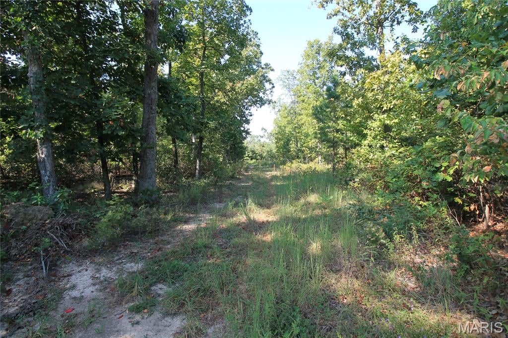 Coldwater Creek Estates Plat 2 - Land