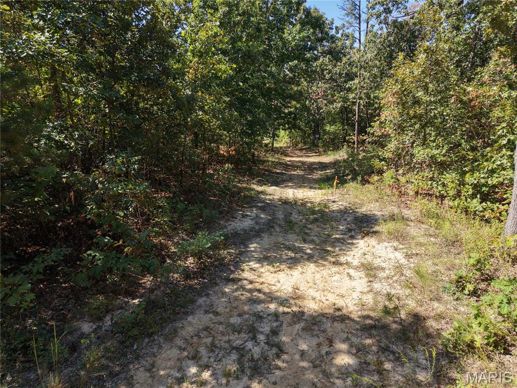 Coldwater Creek Estates Plat 2 - Land