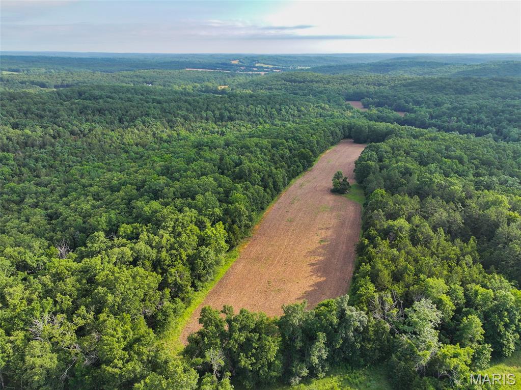 Located west of Perryville along PCR 846, this 124 +/- acre property offers a combination of wooded habitat, open ground, established access, and utility availability in Perry County, Missouri. The tract features a predominantly wooded landscape complemented by a larger agricultural field and a smaller field currently utilized as a food plot, creating a diverse mix of cover and forage opportunities.
A well-maintained gravel road extends through the property, providing convenient access throughout the tract. The roadway also serves as an easement road for neighboring landowners to the north and east. This established access allows for easy navigation and management of the property while supporting a variety of recreational and land-use activities. The property’s wooded acreage provides substantial cover for wildlife, while the agricultural field and food plot create attractive feeding areas. Hunting improvements are already in place, including two box blinds positioned to overlook key field locations and multiple ladder stands located throughout the property. These features offer opportunities for those seeking a recreational property with existing hunting infrastructure. Electric service is available on the property, providing an important improvement for future plans. Whether considering a primary residence, weekend retreat, or hunting cabin the availability of electricity can simplify future development efforts. The property’s mix of timber and open ground supports a variety of outdoor recreational pursuits. The combination of wooded ridges, travel corridors, agricultural acreage, and food plot habitat contributes to an environment frequently utilized by local wildlife. The area has a history of deer and turkey activity, and the current ownership has experienced successful hunting seasons over the years. The location offers a rural setting while remaining within convenient driving distance of Perryville and other communities in the region. The property’s size, habitat diversity, existing improvements, and utility access make it suitable for buyers seeking recreational acreage, a potential building site, or a combination of both. Whether your interests include hunting, outdoor recreation, land stewardship, or establishing a future home or cabin site, this Perry County property presents a versatile opportunity with established access, electric service, and a diverse landscape.