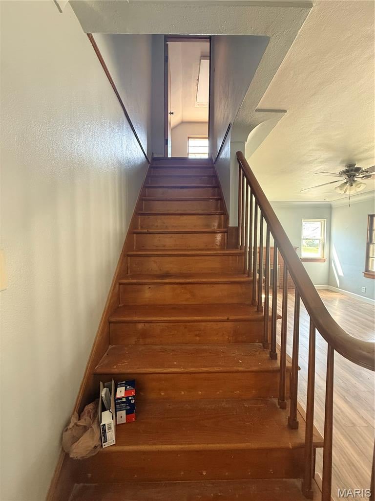 McQuillan Place - Residential