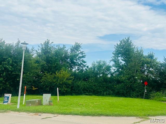 Exceptional commercial development opportunity featuring 12 available lots, including 6 highly visible lots with prime frontage along busy IL Route 3. Zoned B-3 Central Business, these versatile parcels offer endless possibilities for a wide variety of commercial ventures. Permitted uses include (but are not limited to) restaurants, financial institutions, bed and breakfasts, indoor amusement and recreation facilities, retail, professional offices, and many other business opportunities. All utilities are conveniently available along Station Crossing and Columbia Avenue, with tap-in fees based on the specific services requested. Lots 1 and 7 offer additional flexibility and may be subdivided with access from either Moore Street or Station Crossing. If subdivided, the purchase price will be adjusted based on the final square footage. Whether you're expanding your business, developing an investment property, or bringing a new commercial vision to life, these premier lots offer outstanding visibility, accessibility, and potential in a growing location.