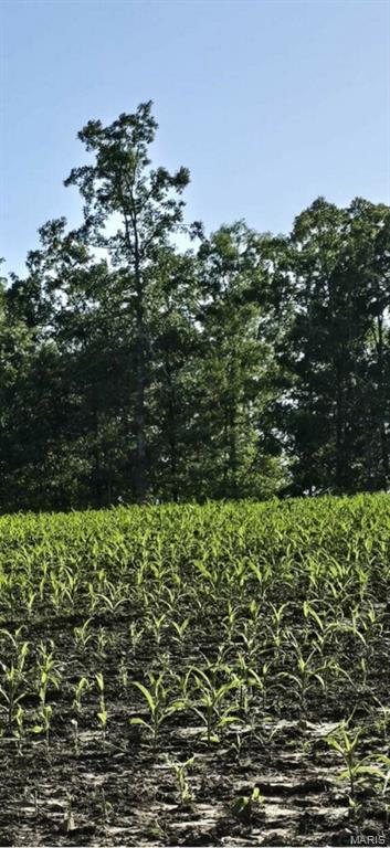 N/A - Farm