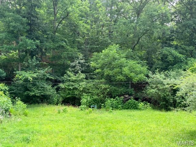Discover the perfect spot to build your dream home, weekend getaway, or recreational retreat on this beautiful 5.57-acre lot in Mill Spring, Missouri. Enjoy the peace and privacy of country living while being just minutes from the Black River, offering easy access to fishing, floating, swimming, and camping. This property provides plenty of room to spread out and enjoy the outdoors. Need more space? An adjoining 5.71-acre lot is also available, creating an opportunity to own over 11 acres. Whether you're looking to build now or invest for the future, this property offers endless possibilities in a scenic Ozark setting.