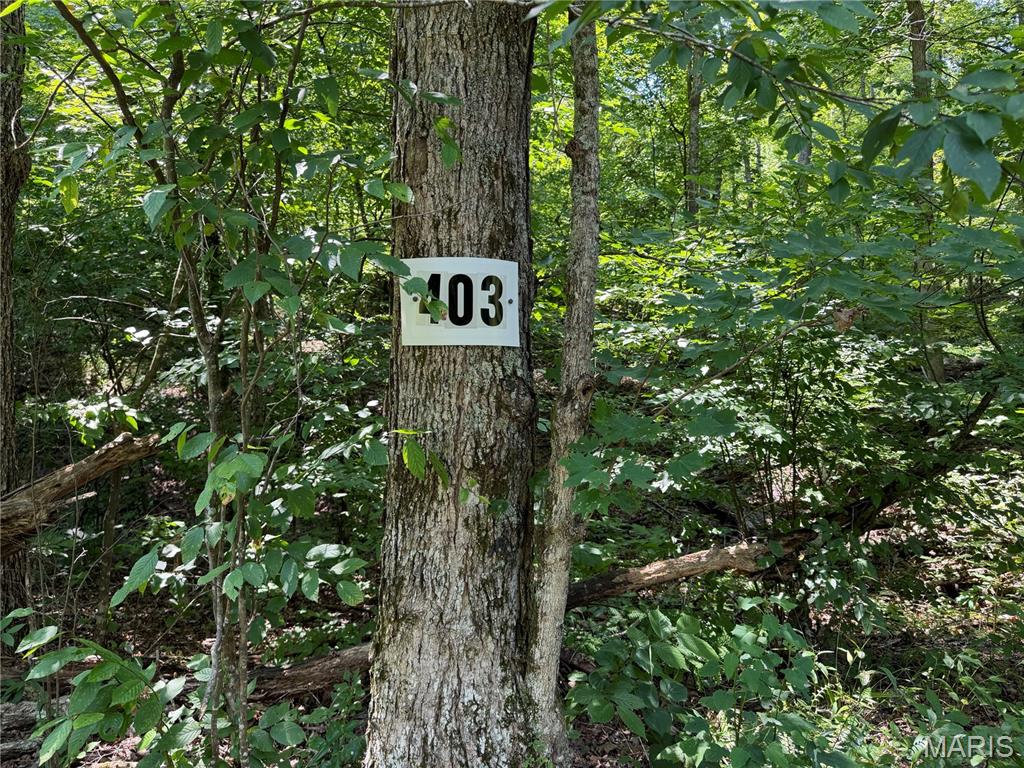 Cherokee Pass - Land