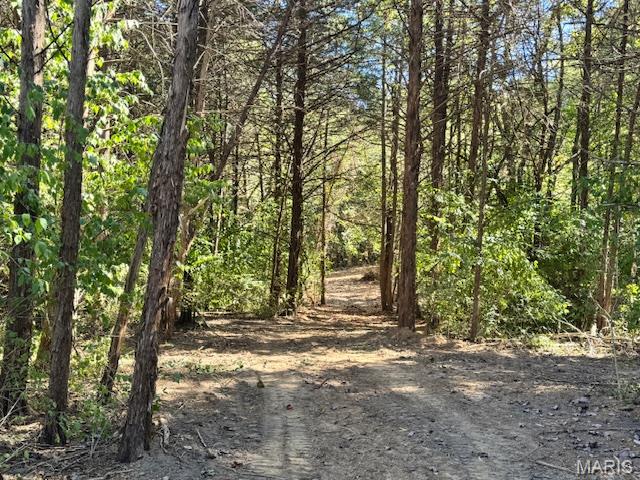 Tucked away on a quiet cul-de-sac road, this beautiful building lot offers the peace and privacy of the countryside with the convenience of town just minutes away. Surrounded by open skies, mature trees, and the gentle sounds of nature, it’s an ideal setting for those who want a quiet, rural lifestyle without giving up modern comforts.
All the essentials are already in place — high-speed fiber internet, public water, sewer, electricity, and natural gas — making it ready for your new home. The asphalted roads provide easy access in every season, and the cul-de-sac location ensures a calm, low-traffic environment.
Despite its private, country feel, this property is close to schools, shopping, and the interstate, offering a rare balance of rural charm and everyday convenience.