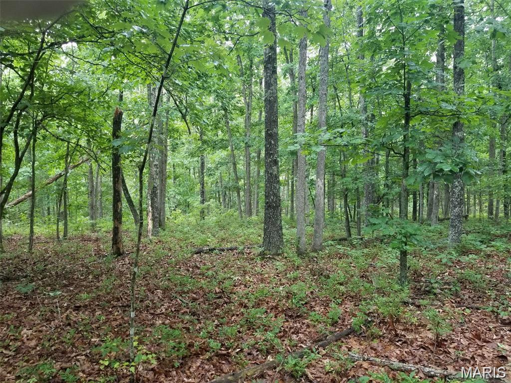 Hickory Ridge Estates - Land