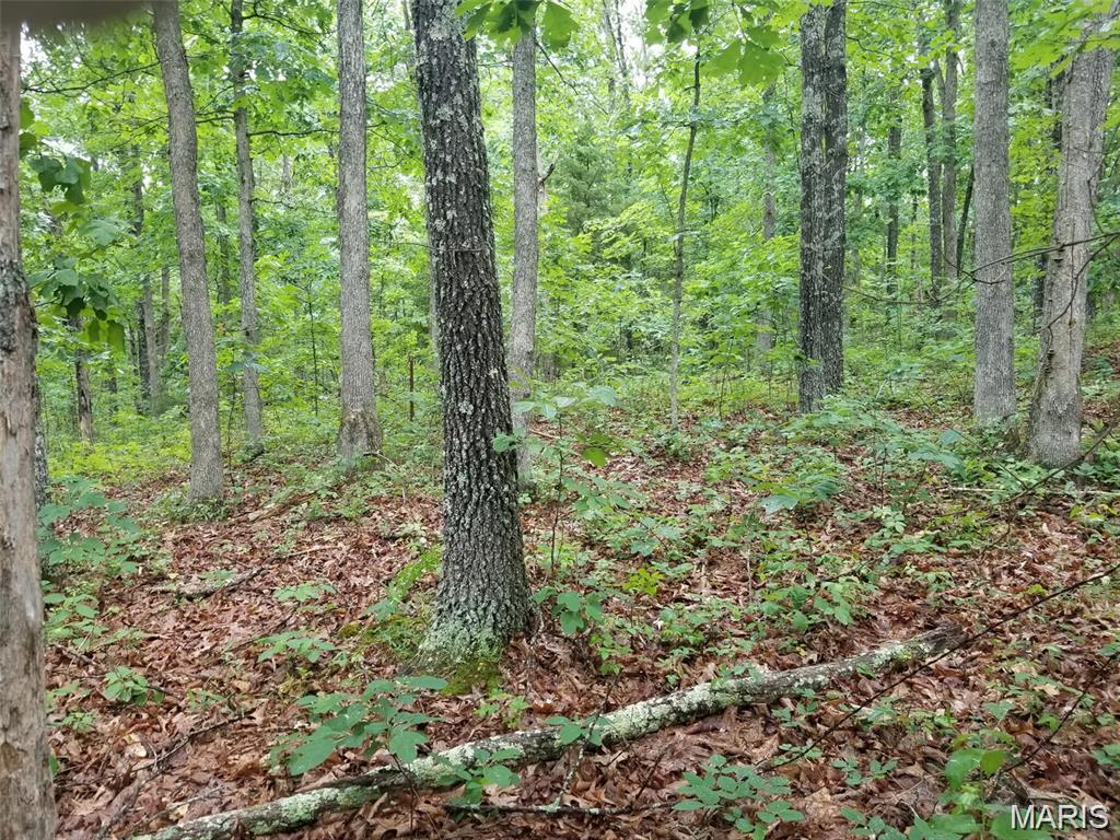 Hickory Ridge Estates - Land