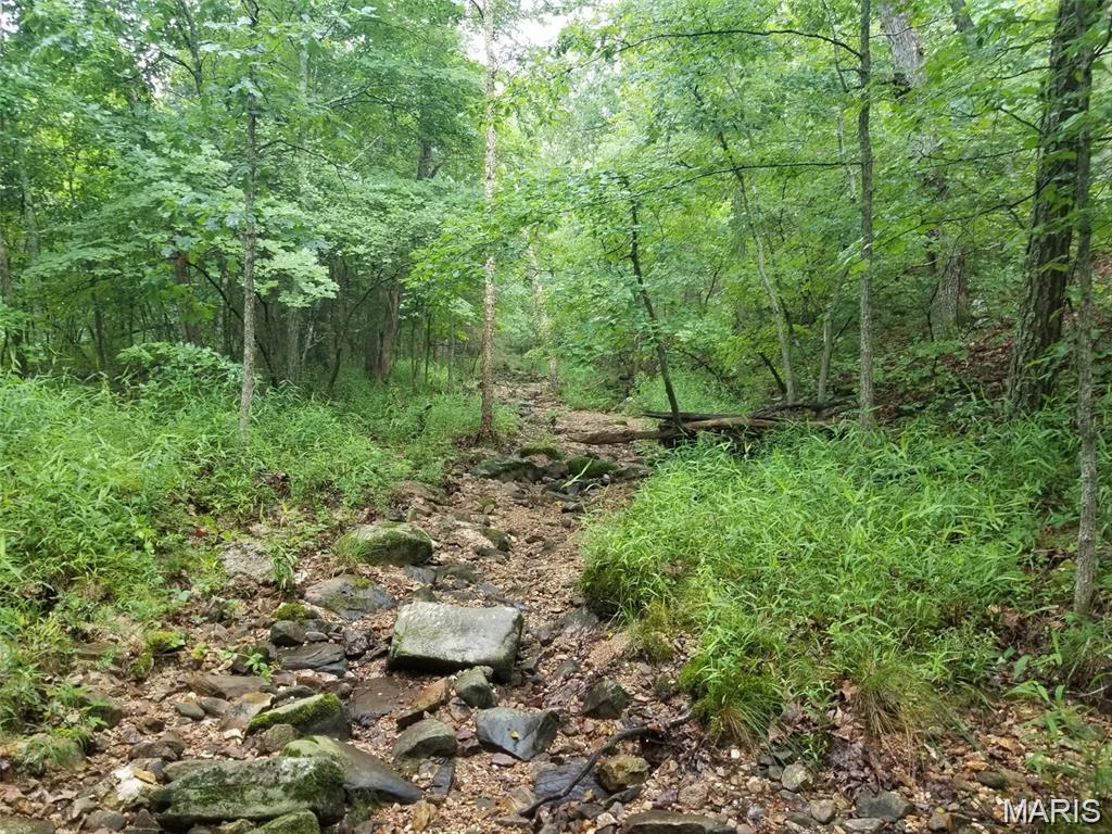 Hickory Ridge Estates - Land