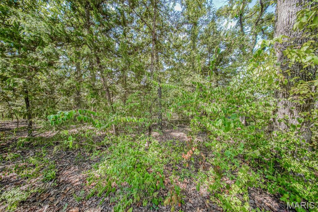 College Hills Resubdivision - Land