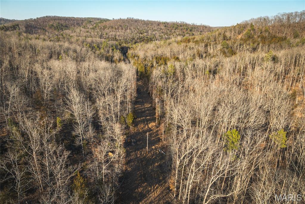 65+/- acres located in the heart of some of Missouri’s best horseback riding, hunting, and floating country — just 2.5 miles from Eminence. This incredible tract adjoins Angeline Conservation Area on the north side, putting thousands of acres of additional recreational ground right at your fingertips. Ride your horse or take a short trip to the beautiful Ozark National Scenic Riverways, where you can drop a line for smallmouth bass or enjoy a relaxing float on crystal-clear waters. This area is well known for its abundant wildlife including whitetail deer, turkey, and other small game. With elk now established in Shannon County and black bears occasionally roaming the region, the outdoor opportunities here are second to none. The property was selectively logged with conservation in mind, allowing for healthy regrowth and excellent habitat. Electric borders the eastern side, making this an ideal location to build your dream home, hunting cabin, or weekend getaway. With no restrictions, you have the freedom to create the property you envision. The property is also being offered multiple tracts — providing flexible options for buyers. If you’re looking for a true deer and turkey getaway in the Ozarks with unmatched access to riding trails, rivers, and conservation land, this is it.