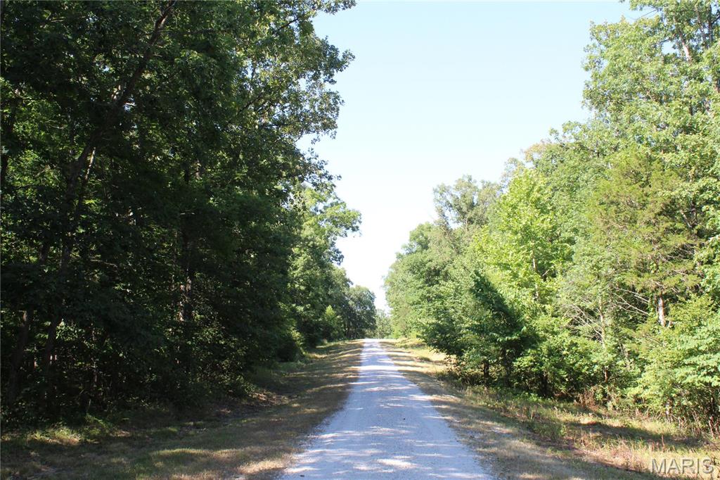 Warren Woods - Land