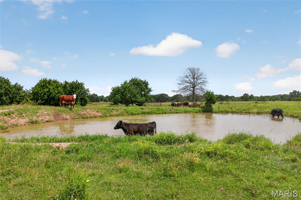 N/A - Farm