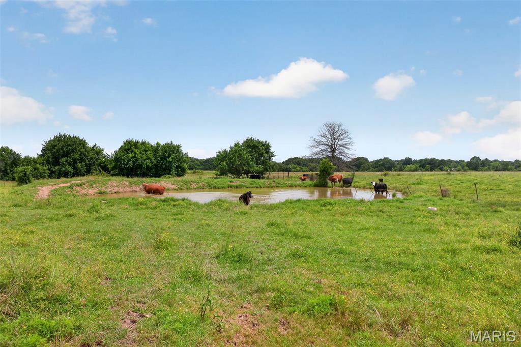 N/A - Farm