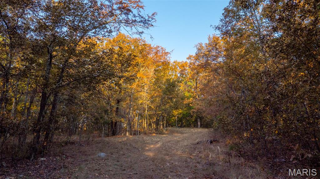 Escape to your own private retreat on this incredible 100 +/- acre property featuring a mix of mature oak, pine, and hickory trees.  Whether you're looking for a hunting getaway, recreational paradise, or a long-term land investment, this property checks all the boxes.
Highlights include: 100+/- acres of diverse terrain with timber, trails, and wildlife habitat-Small cabin on-site-perfect for weekend stays or a hunting basecamp, excellent hunting with established game in the area, a mix of hardwoods and pines offering both beauty and future timber value, secluded and peaceful, yet within easy driving distance to town.
This property is a rare opportunity to own a large tract of land with endless possibilities: hunting, ATV riding, camping, or simply enjoying the outdoors.
Don't miss your chance to make this 100 +/-acre retreat your own!