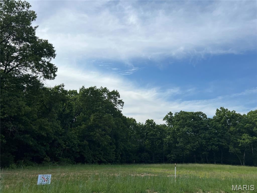 The Grove at Holt Farms - Land