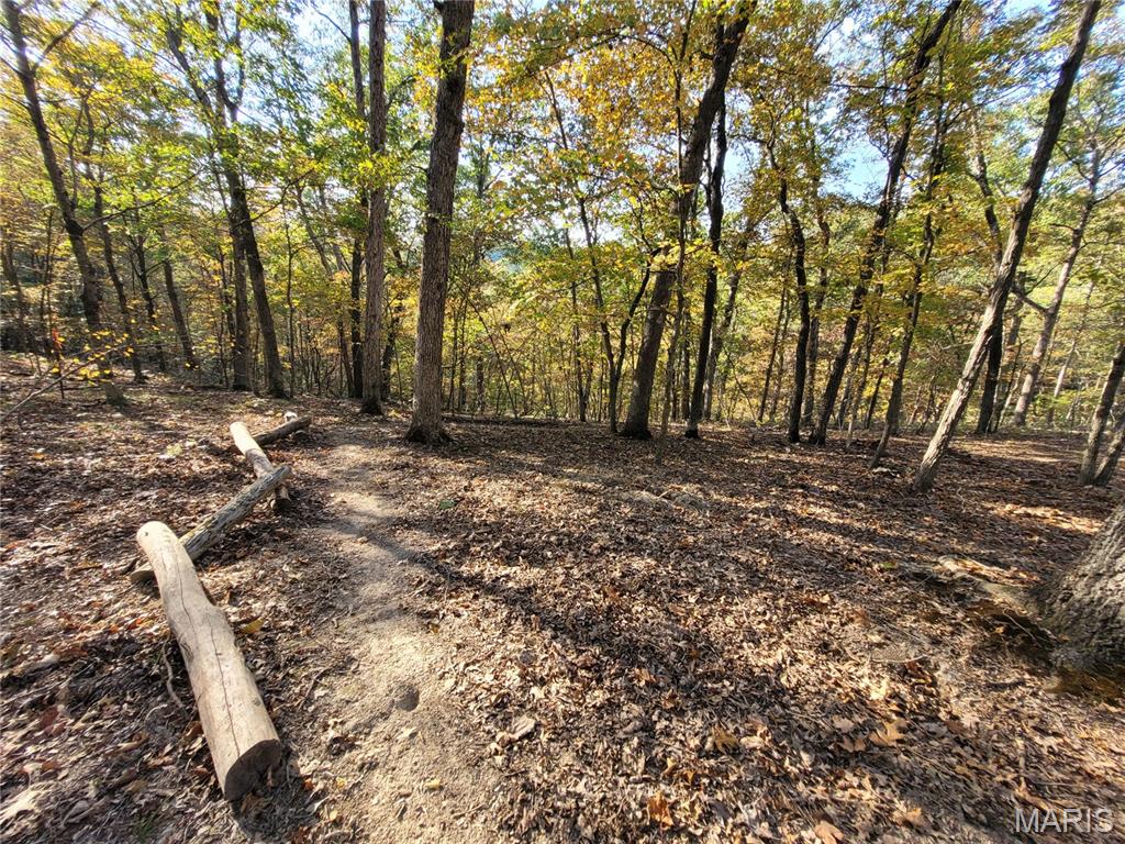Steeple Rock Point - Land