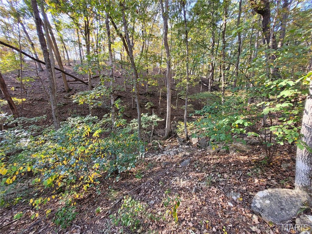 Steeple Rock Point - Land