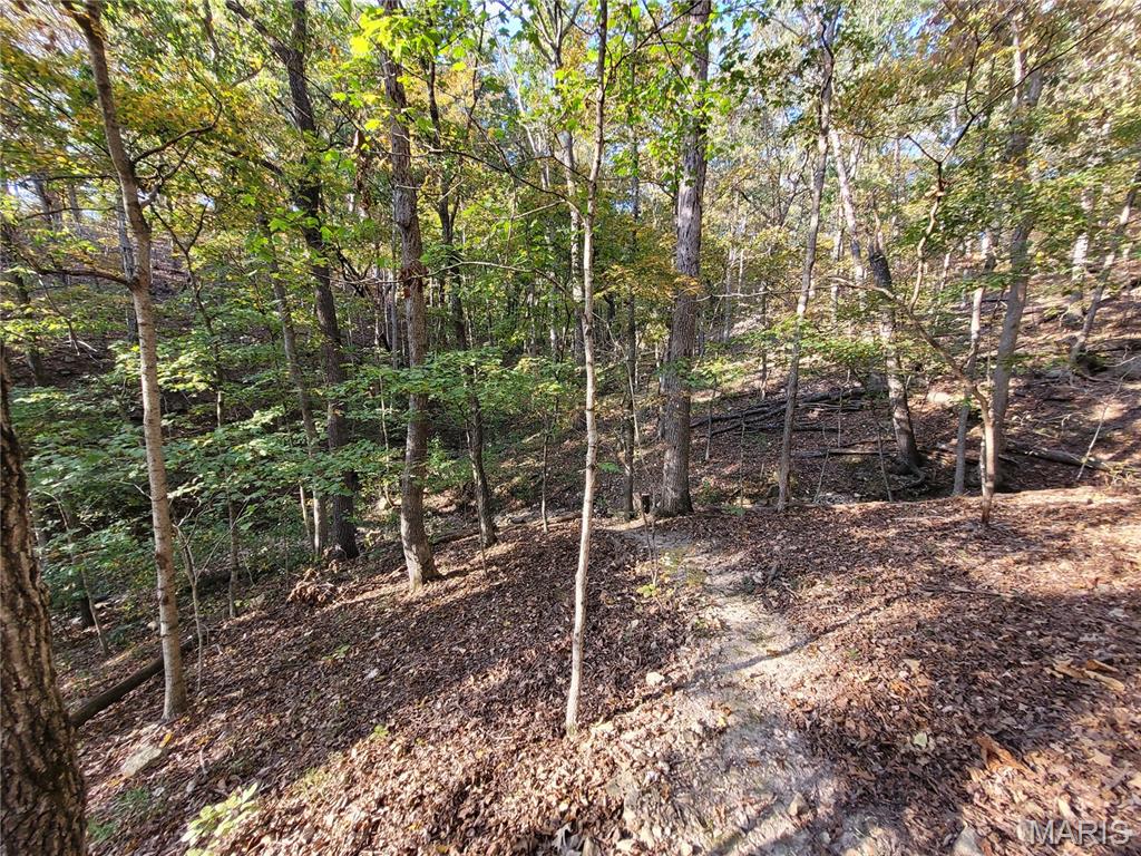 Steeple Rock Point - Land