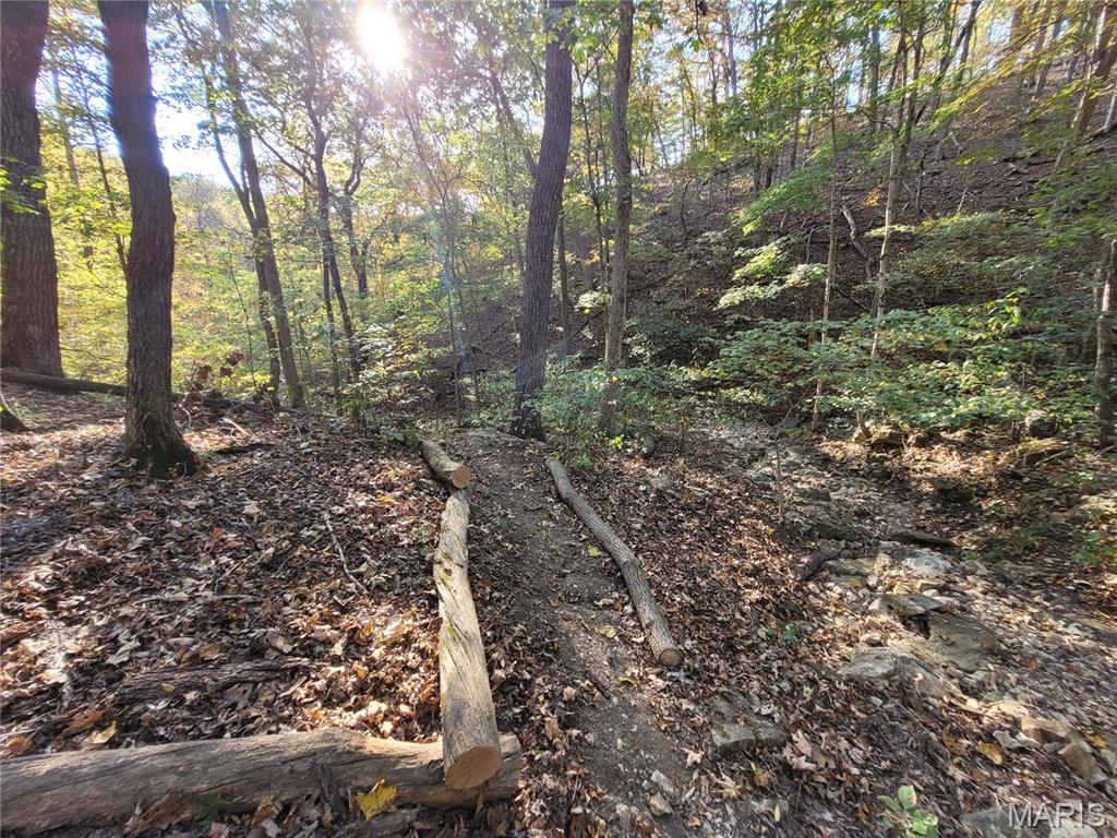 Steeple Rock Point - Land