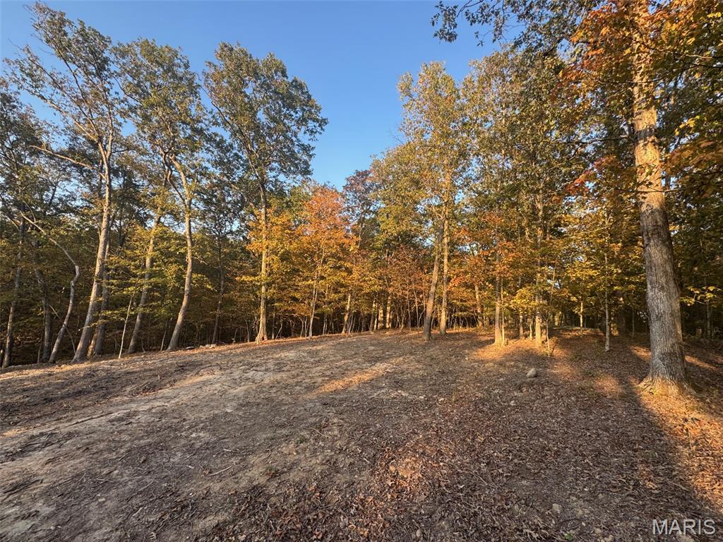 Steeple Rock Point - Land