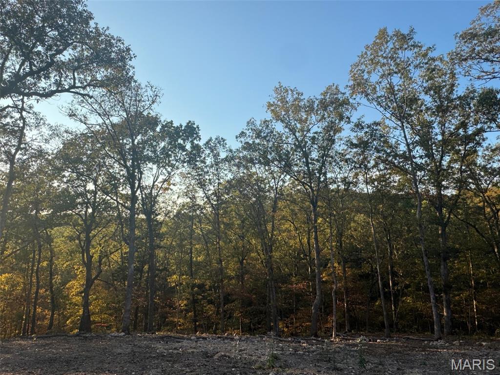 Steeple Rock Point - Land