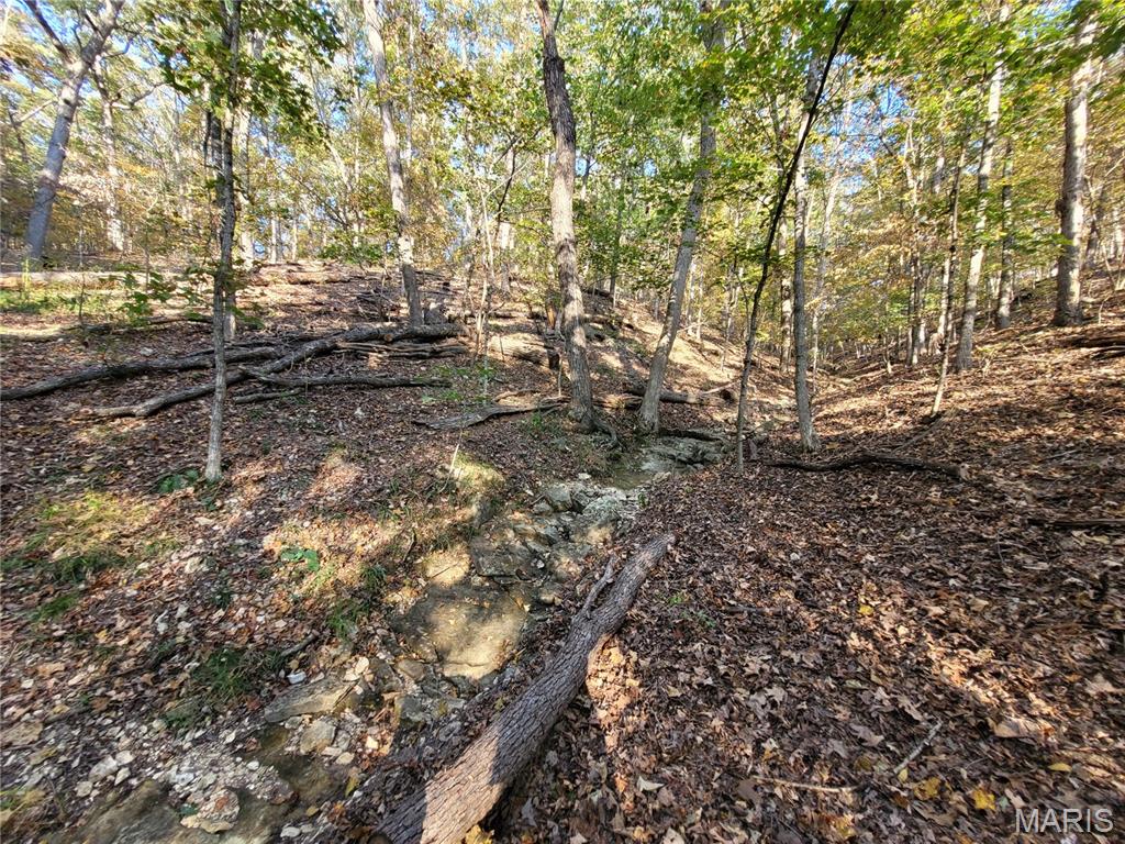 Steeple Rock Point - Land
