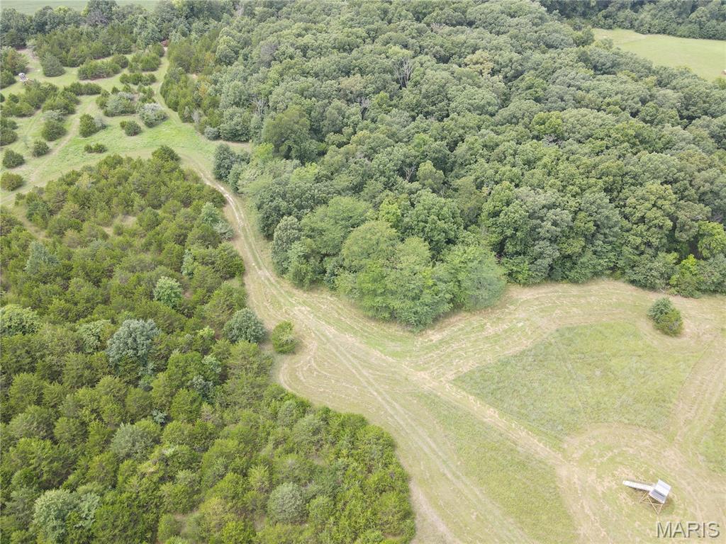 Hunting/recreational property in Ralls County, Missouri, near Mark Twain Lake! This 20-acre tract offers an outstanding combination of habitat, privacy, and location. The property features a diverse mix of open native-grass fields, mature timber, cedar cover,  and hunting blind., creating excellent habitat for deer and turkey. Numerous signs of wildlife were observed throughout the property, and trail camera photos show a strong deer presence. With a desirable mix of cover, forage, water, and seclusion, this tract is well suited for hunting, outdoor recreation, or a private getaway.

The property also offers an excellent home site opportunity, with utilities available at the road. 

Conveniently located less than 15 minutes from Monroe City and near Mark Twain Lake, Jellystone Park, Water Zone, Spalding Recreation Area and Beach, Clarence Cannon Dam, Blackjack Marina, restaurants, and other area amenities.

Whether you're searching for a recreational retreat, hunting property, or the perfect place to build your dream home, this versatile Ralls County property is ready for you. Hunting season will be here before you know it—See it, Love it, Own it TODAY!