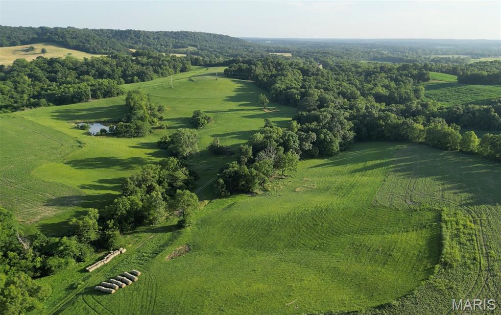 Nestled in the rolling countryside of scenic Pike County, this 117 acre +/- property sits in the heart of Buffalo Township near Buffalo Knob, one of the region’s prominent landmarks.— named alongside nearby Buffalo Creek after the wild buffalo that once roamed the area. The land is a versatile mix of pasture, rolling hills, mature wooded areas, and some crop production making it ideal for a variety of uses including cattle or horse operations, hay production, hunting, farming and recreation. Potential homesites provide an opportunity to build your dream home with panoramic views of the surrounding hills and valleys. Adding to the property’s appeal is a year-round, active spring—a local treasure where community members once came to gather fresh water. Water resources are further enhanced by two established ponds, measuring just under 1/2 acre and just under 3/4 acre in size, perfect for livestock or fishing. A third pond site is in place and ready to be excavated to suit your needs. Close to Two Rivers Marina & Mississippi River for boating/fishing. Easy drive from St. Louis, Hannibal, & Quincy, IL. Looking to establish a country retreat or invest in a multi-use parcel with deep roots and scenic charm, this tract delivers.