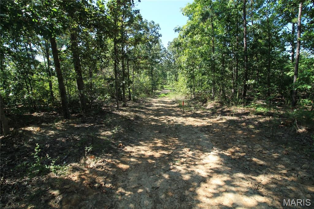 Coldwater Creek Estates - Land