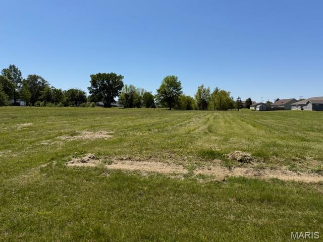 Nearly 4 acres in a peaceful setting bordering a quiet neighborhood and adjacent to a park.  This beautiful property offers endless potential - build your dream home, create a private retreat, or explore subdivision development opportunities.  Enjoy the perfect balance of privacy and convenience with plenty of space to.  Rare opportunity in a desirable location with natural surroundings and easy access to nearby amenities.