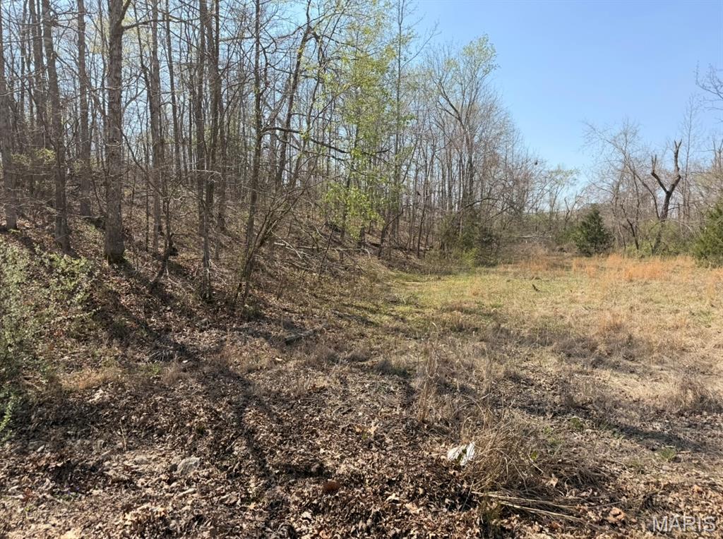 Woodland Hills Estates - Land