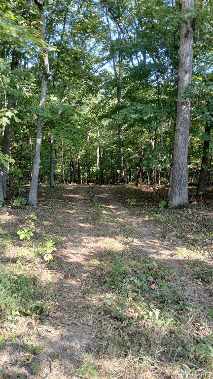 Big Woods - Land