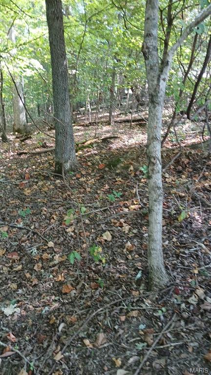 Big Woods - Land