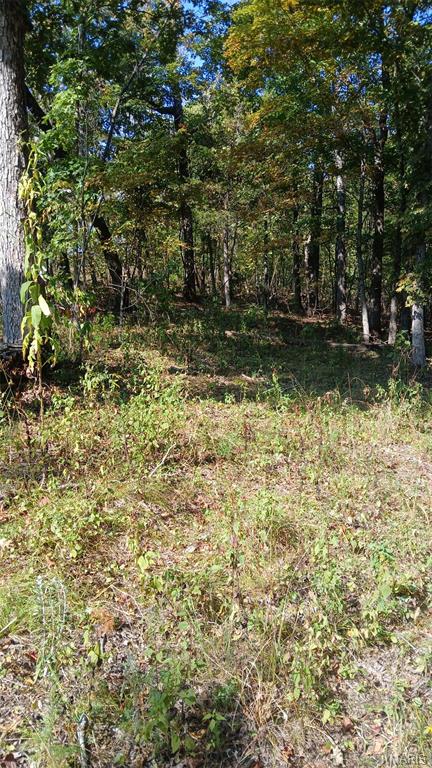 Big Woods - Land