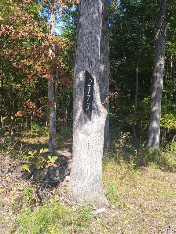 Big Woods - Land