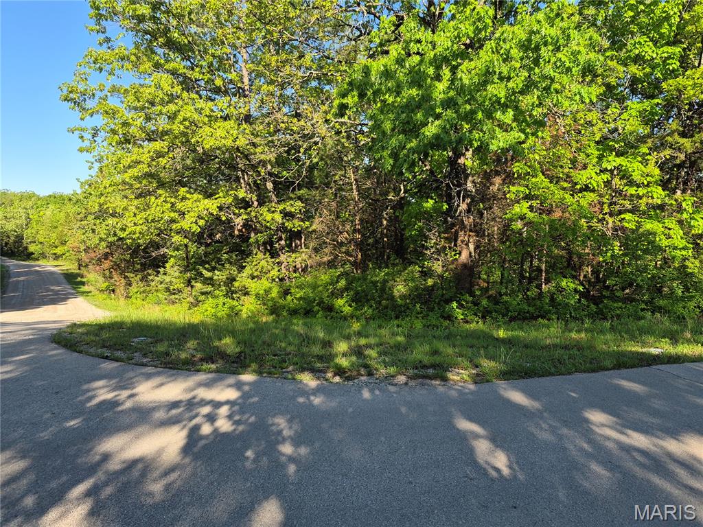 Great buildable lot in the private community of Terre Du Lac. Ideal for walkout basement construction or just enjoy the natural lot.  Located in the heart of the community , near gas station, resturaunt, and and lakes.  Utilities nearby.  Build your plan.