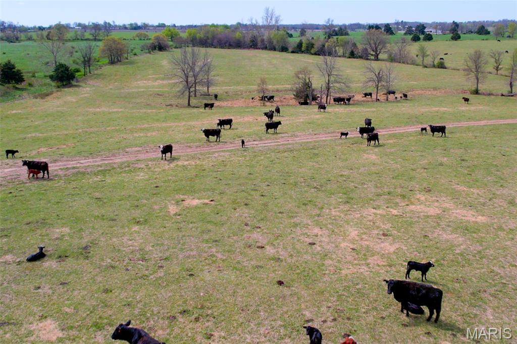 N/A - Farm