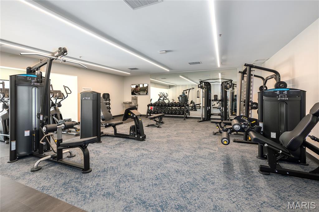 Mila Apartments - Residential Lease