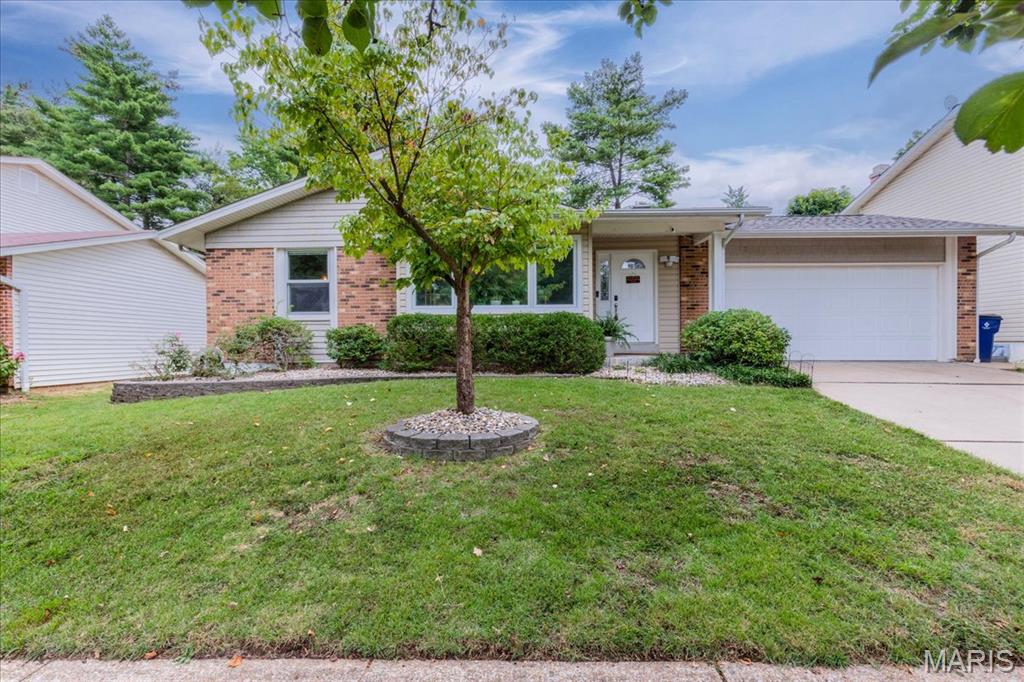 OPEN House Sunday 9/20 1-3PM!! Tucked away on a quiet street and located in Parkway Schools, this spacious 3 bed, 3 bath ranch has plenty of room for everyday living! On the main level, you’ll enter into the foyer that opens into one of two separate living spaces. The front living room features large windows with tons of natural light. The open layout dining room & kitchen flows nicely and is a great space for the cook of the family! If that's not enough room, you'll love the cozy family room with a fireplace and door that leads to the back patio...giving everyone a little space to spread out. The primary suite features two closets and an on suite full bath. Two additional good-sized bedrooms and another full bath round out the main level. 
The finished basement adds even more flexible living space and can function as a rec room, home office, workout space, playroom, or whatever fits your lifestyle! Plus, there's an extra bedroom and a third full bathroom!  Outside, the large, fenced-in backyard is ready for fall hangs, gardening, and simply enjoying a quiet afternoon outdoors. And when you’re ready to get out and explore, you’re just 5 minutes from Creve Coeur Lake Park, where you can enjoy walking, biking, fishing, boating, and plenty of fresh air. Plus, close to loads of restaurants and shopping on Olive! Come take a look…you may just find your new favorite place to call home!