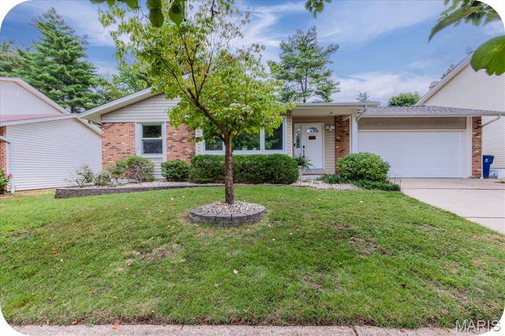 OPEN House Sunday 9/20 1-3PM!! Tucked away on a quiet street and located in Parkway Schools, this spacious 3 bed, 3 bath ranch has plenty of room for everyday living! On the main level, you’ll enter into the foyer that opens into one of two separate living spaces. The front living room features large windows with tons of natural light. The open layout dining room & kitchen flows nicely and is a great space for the cook of the family! If that's not enough room, you'll love the cozy family room with a fireplace and door that leads to the back patio...giving everyone a little space to spread out. The primary suite features two closets and an on suite full bath. Two additional good-sized bedrooms and another full bath round out the main level. 
The finished basement adds even more flexible living space and can function as a rec room, home office, workout space, playroom, or whatever fits your lifestyle! Plus, there's an extra bedroom and a third full bathroom!  Outside, the large, fenced-in backyard is ready for fall hangs, gardening, and simply enjoying a quiet afternoon outdoors. And when you’re ready to get out and explore, you’re just 5 minutes from Creve Coeur Lake Park, where you can enjoy walking, biking, fishing, boating, and plenty of fresh air. Plus, close to loads of restaurants and shopping on Olive! Come take a look…you may just find your new favorite place to call home!